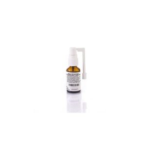 Spray de propoleo 20ml Rancho Cortesano